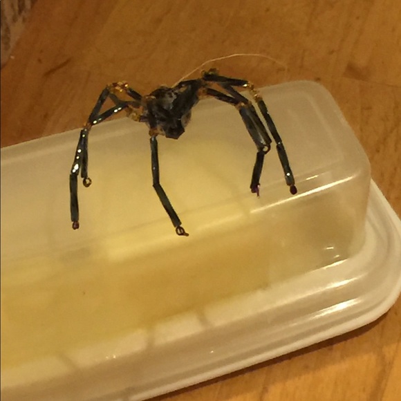 🥺🕷Scary Beaded Spider!🕷🙀 - Picture 5 of 8
